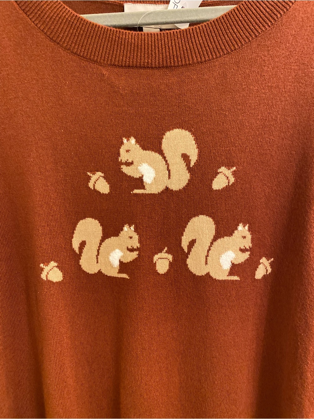 LOFT PERFECT FALL SWEATER Rust Crewneck Sweater Squirrels Motif Large NWT NATURE - Picture 6 of 16